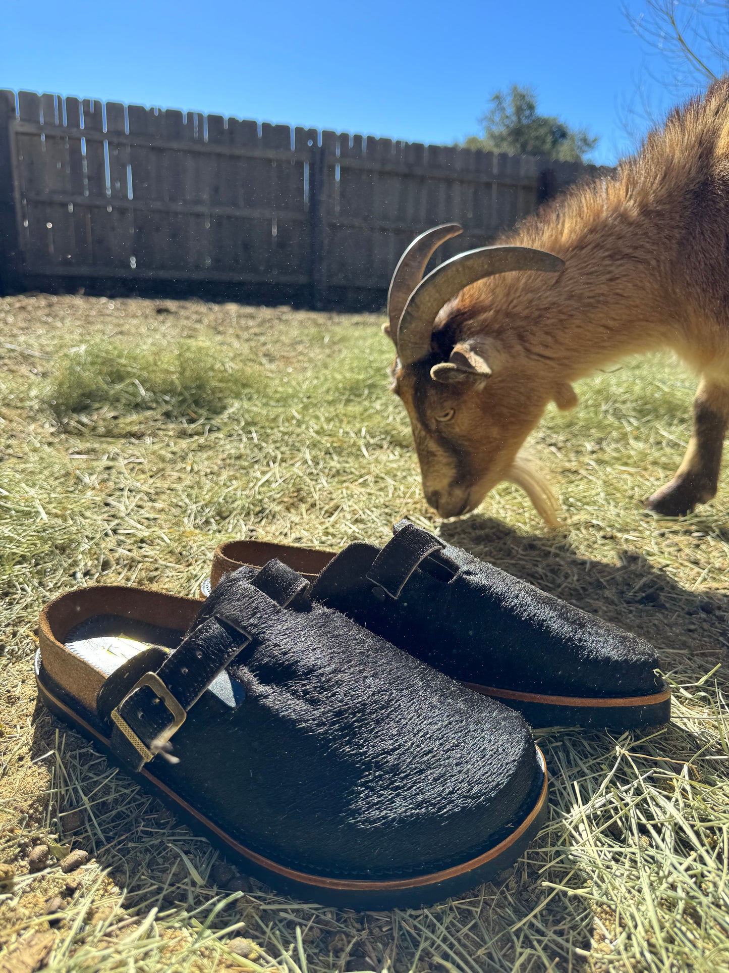 Black Cowhide Clogs