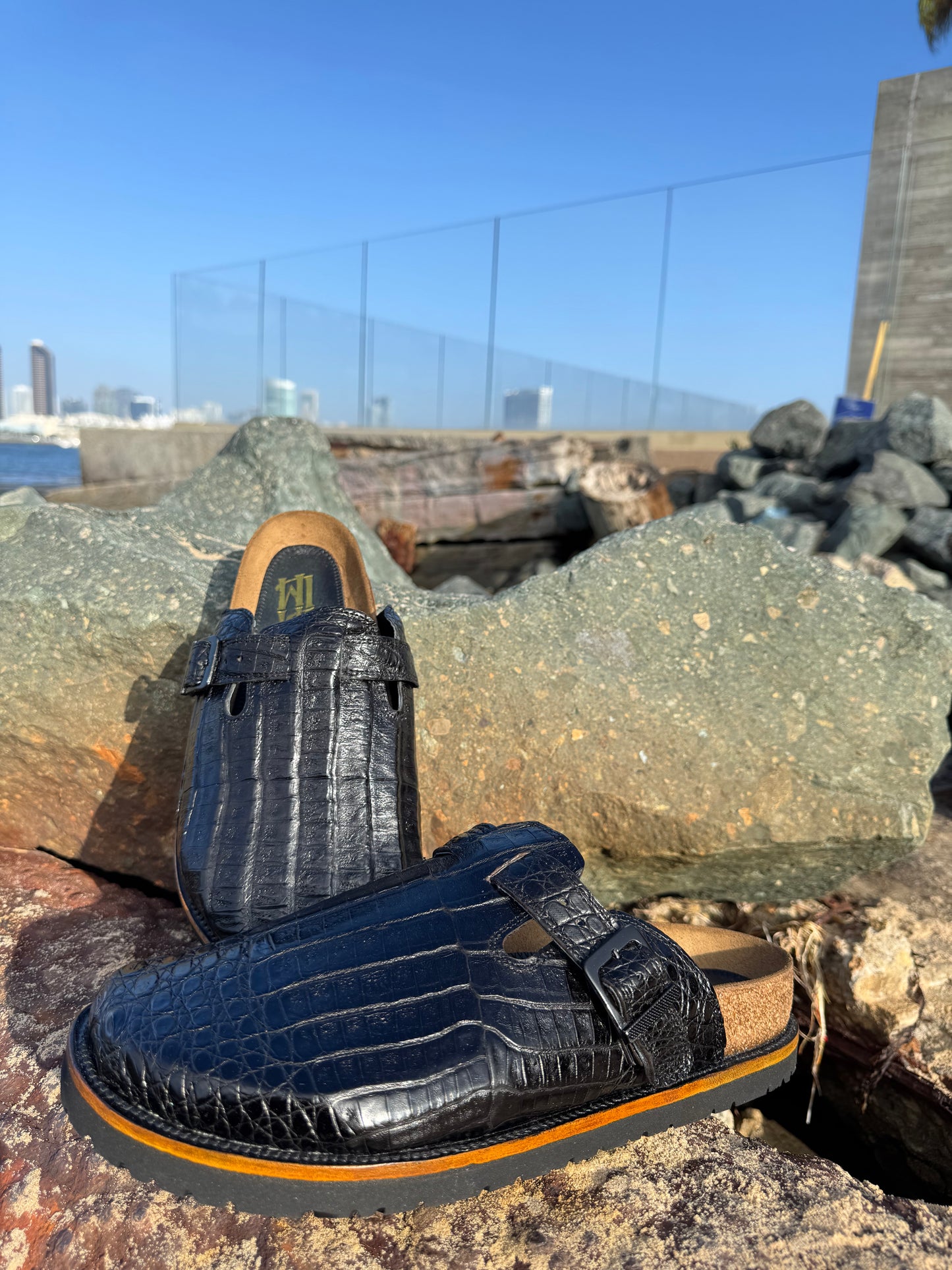 Black Alligator Clogs