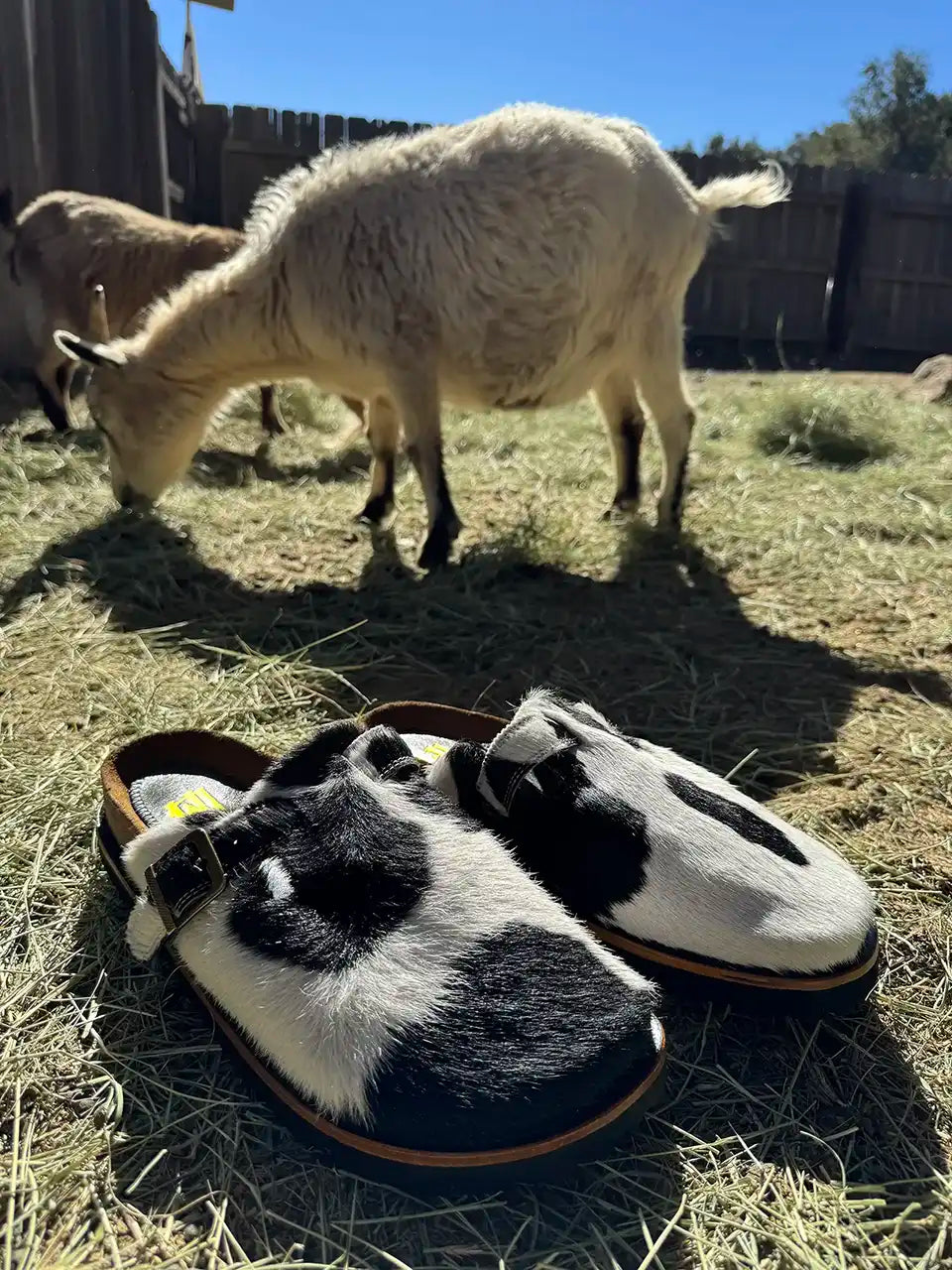 Botas Hasta La Muerte black and white cowhide clogs with cork footbed and Vibram sole handcrafted in León Mexico.