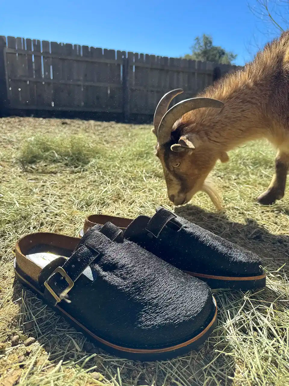 Botas Hasta La Muerte black cowhide clogs with cork footbed and Vibram sole handcrafted in León Mexico.